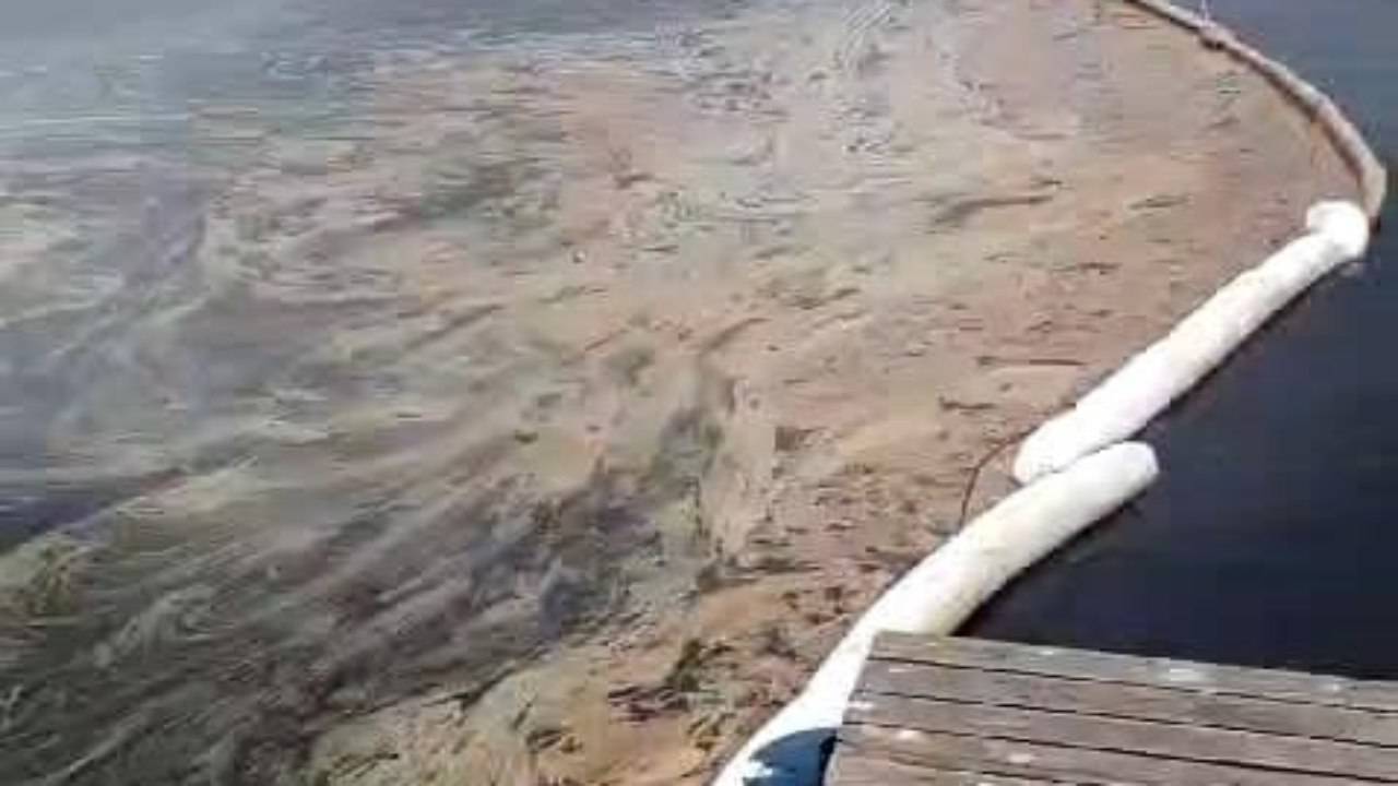 SAPANCA GÖLÜNDEKİ KİRLİLİK İLE İLGİLİ BASIN AÇIKLAMASI