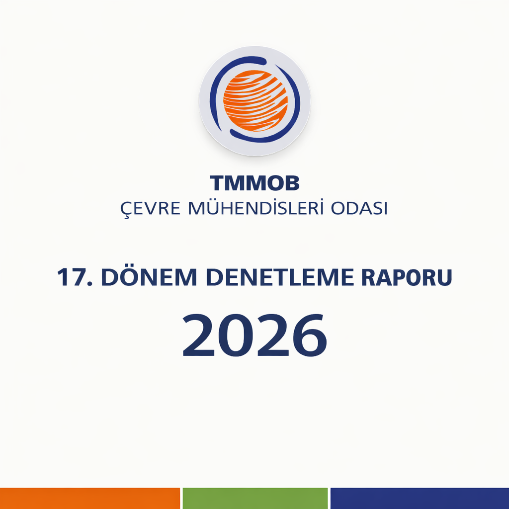 17. DÖNEM DENETLEME RAPORU