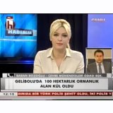BAŞKANIMIZ HALK TVDE ORMAN YANGINLARINI DEĞERLENDİRDİ
