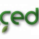 ÇED DAVALARI "İVEDİ DAVALAR" KAPSAMINA ALINDI!