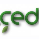 ÇED`E DANIŞTAYDAN BİR YÜRÜTMEYİ DURDURMA DAHA