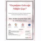 GEÇMİŞTEN GELECEĞE NİLÜFER ÇAYI