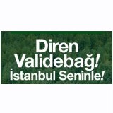DİREN VALİDEBAĞ