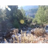 HUKUK İŞLEMEYİNCE BİLİM ÇARESİZ KALIYOR