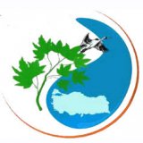 HAVZA BAZLI SEKTÖREL SU TAHSİSLERİ