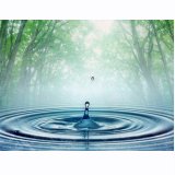 SU POLİTİKALARI VE GÜVENLİĞİ ANA BİLİM DALI KURULDU