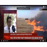 BAŞKANIMIZ SN KENAN DOĞAN`IN BÖLGEMİZDE YAŞANAN ANIZ YANGINLARI İLE İLGİLİ ÇUKUROVA TÜRK TV`YE VERDİĞİ RÖPORTAJ...