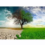 5 HAZİRAN DÜNYA ÇEVRE GÜNÜ