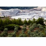 KÖMÜRÜN GERÇEK BEDELİ