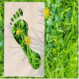 KURUMSAL KARBON AYAK İZİNİN HESAPLANMASI: ISO 14064-1:2006 STANDARDI ÇERÇEVESİNDE SERA GAZLARI EMİSYONLARININ VE UZAKLAŞTIRMALARININ KURULUŞ SEVİYESİNDE HESAPLANMASI VE RAPORLANMASI TEMEL EĞİTİMİUZAKTAN EĞİTİM)