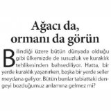 Ağacı da, Ormanı da Görün