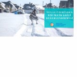 TEXAS ÜZERİNDEN BİR İKLİM KRİZİ DEĞERLENDİRMESİ