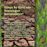 Dünya Su Günü`nde Susuzluğun Neresindeyiz?