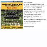 Validebağ Korusunda Neler Oluyor?  başlıklı forumu katıldı