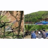 İkizdere için uyarı: `Yeni heyelanlar olabilir, gördüklerimiz korkunç`