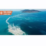 Temizlik faydasız: Müsilajın hızına ulaşamazsınızGAZETE DUVAR)