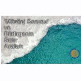 `Müsilaj sorunu` ve Bildirgenin satır araları.