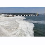 Çevre Mühendisleri Odası Genel Başkanı Kahraman: Asıl sorun müsilaj değil bu zihniyetEVRENSEL)