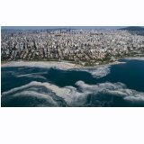 Deniz salyası: Müsilaj eylem planı kapsamında hangi adımlar atılacak, uzmanlar ne düşünüyor?