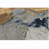 "Kurulda bütün patron kulüpleri, sanayi odaları var. Bunlar var ama mühendislerin sözü orada yok. "Evrensel Gazetesi)