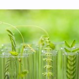 BİYOSİDAL ÜRÜN UYGULAYICI EĞİTİMİ10-11-12 ARALIK 2021)