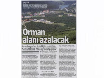 ORMAN ALANI AZALACAK(RADİKAL GAZETESİ)
