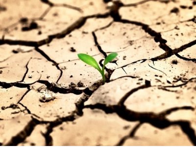 GİDEREK AZALAN SU İÇİN ÖZEL GÜN KUTLAMASI!!!