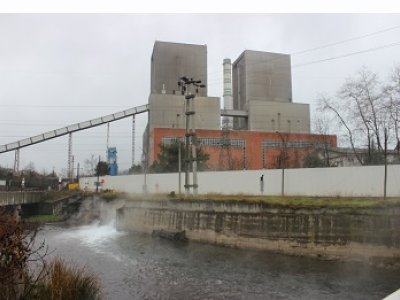 ZONGULDAK ÇATALAĞZINDA "ÇEVRE" FELAKETİ