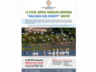 15 EYLÜL DÜNYA TEMİZLİK GÜNÜNDE "NALLIHAN KUŞ CENNETİ" NDEYİZ