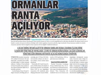 Ormanlar Ranta Açılıyor