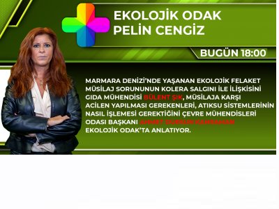 Ekolojik Odakta Marmara Denizinde yaşanan ekolojik felaket konuşuluyor.
