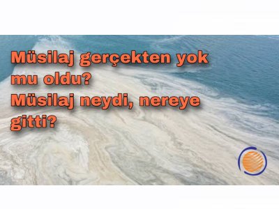 Müsilaj gerçekten yok mu oldu? Müsilaj neydi, nereye gitti?