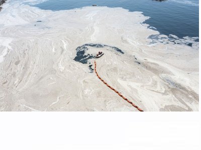 MÜSİLAJ BİR DOĞA OLAYI MI?