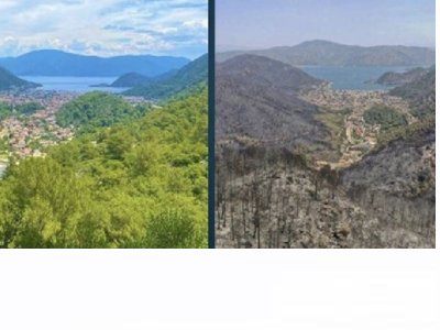 YANAN ORMAN ARAZİLERİ TURİZME AÇILABİLİR Mİ?