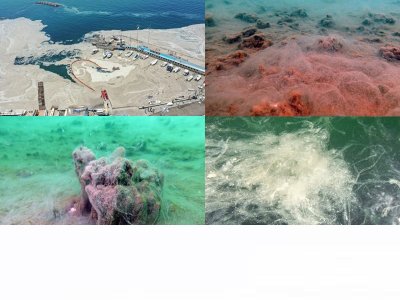 MÜSİLAJ SORUNU VE MARMARANIN GELECEĞİ ÇALIŞTAYI