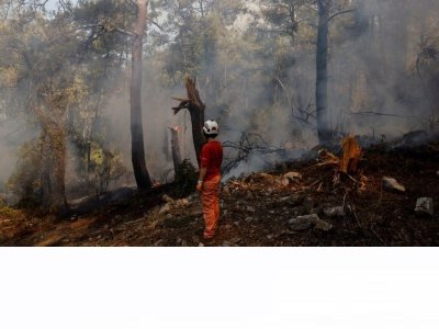 TÜRKİYE`NİN ORMANLARINA NE OLUYOR, YANGIN RİSKİ NASIL ARTTI?