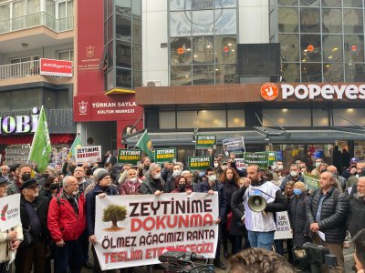 BASIN AÇIKLAMASI:TAM DA ŞİMDİ, ZEYTİNLİKLERİMİZİ KORUMAK ZAMANIDIR.