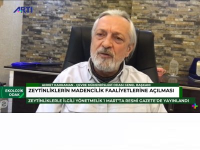 ZEYTİNLİKLER SERMAYEYE KURBAN EDİLİYOR