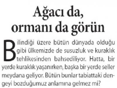 Ağacı da, Ormanı da Görün