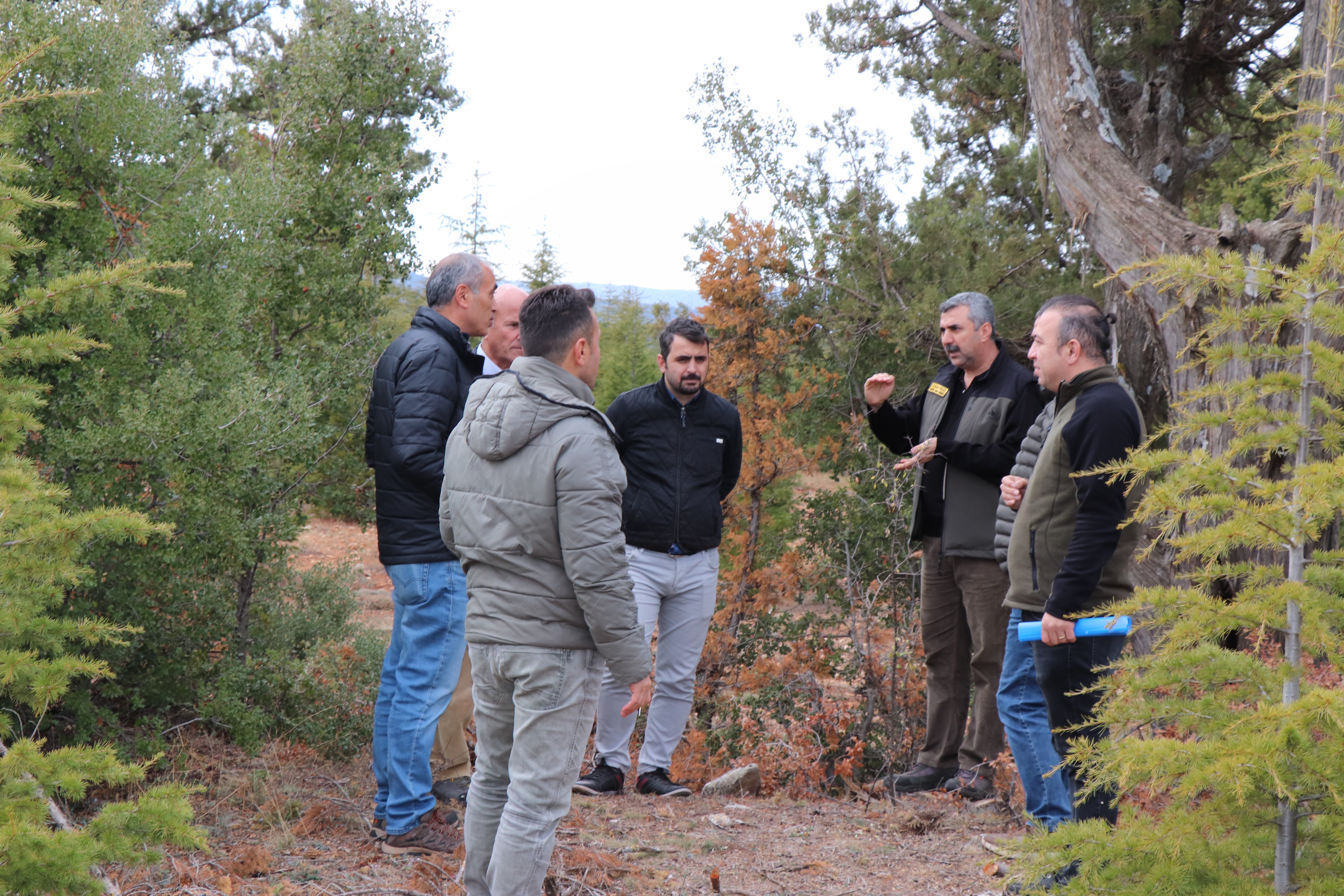 MERSİN ERDEMLİ ARDIÇ KESİMİ SAHA GEZİSİ