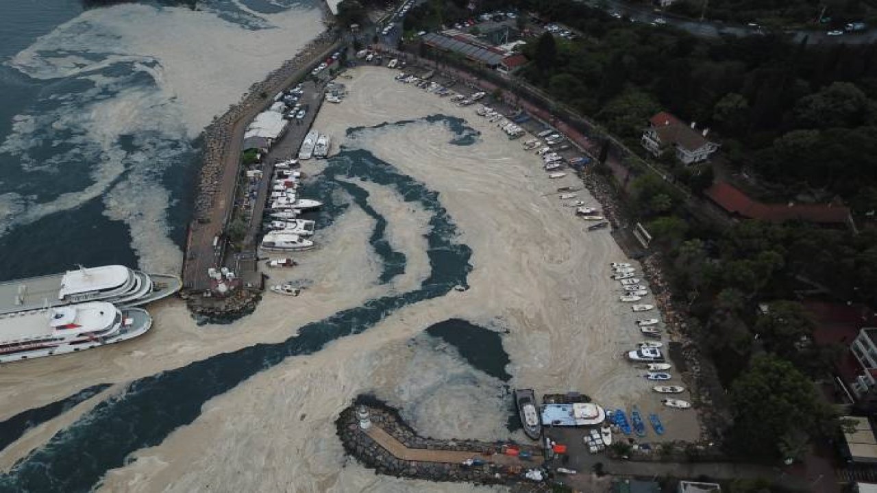 Çevre mühendislerinden bakanlığa sert yanıt: Müsilaj sorunun adı değil, sonucudurABC GAZETESİ)